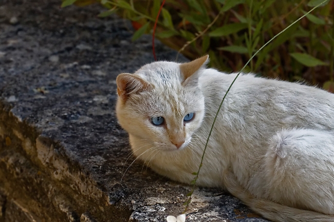 Famille et amis-SEP15-030